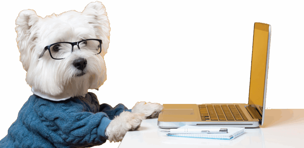 kérdésed van, segítünk